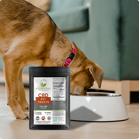 Pet Care